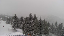 Lalíky vrcholová stanice