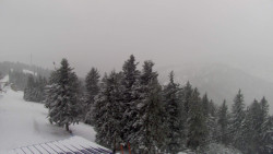 Lalíky vrcholová stanice