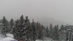 Lalíky vrcholová stanice