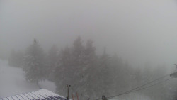 Lalíky vrcholová stanice