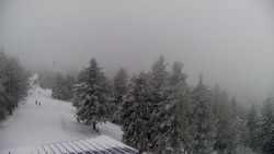 Lalíky vrcholová stanice