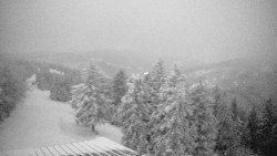 Lalíky vrcholová stanice