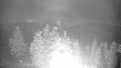 Lalíky vrcholová stanice