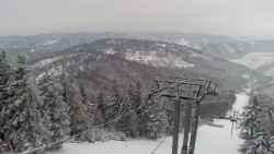 Lalíky vrcholová stanice