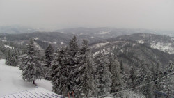 Lalíky vrcholová stanice