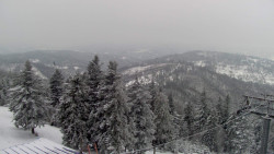 Lalíky vrcholová stanice