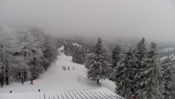 Lalíky vrcholová stanice