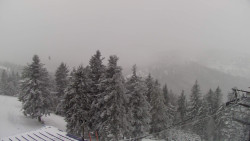 Lalíky vrcholová stanice