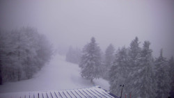 Lalíky vrcholová stanice