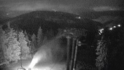 Lalíky vrcholová stanice