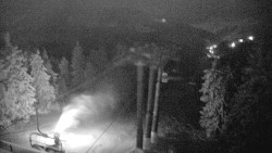 Lalíky vrcholová stanice