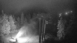 Lalíky vrcholová stanice