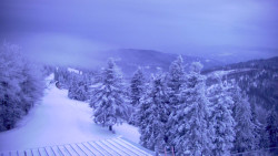 Lalíky vrcholová stanice