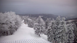 Lalíky vrcholová stanice