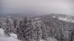 Lalíky vrcholová stanice