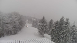 Lalíky vrcholová stanice