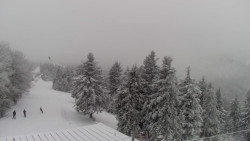 Lalíky vrcholová stanice