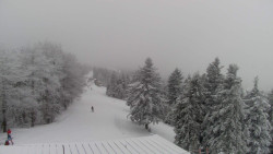 Lalíky vrcholová stanice