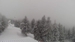 Lalíky vrcholová stanice