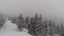 Lalíky vrcholová stanice