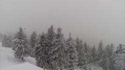 Lalíky vrcholová stanice