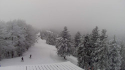 Lalíky vrcholová stanice