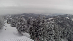 Lalíky vrcholová stanice