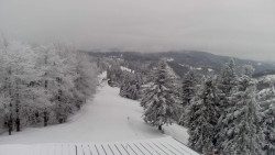 Lalíky vrcholová stanice