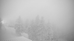 Lalíky vrcholová stanice