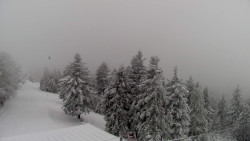 Lalíky vrcholová stanice