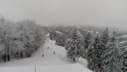 Lalíky vrcholová stanice