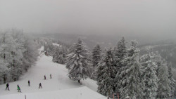 Lalíky vrcholová stanice