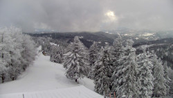 Lalíky vrcholová stanice