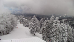 Lalíky vrcholová stanice