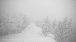 Lalíky vrcholová stanice