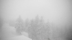 Lalíky vrcholová stanice