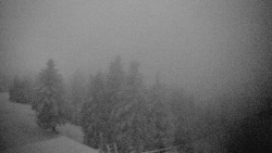 Lalíky vrcholová stanice