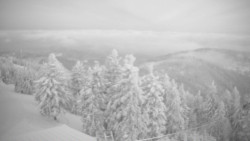 Lalíky vrcholová stanice