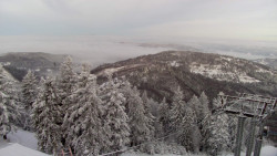 Lalíky vrcholová stanice