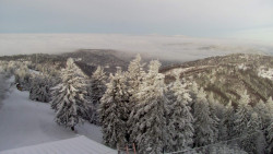 Lalíky vrcholová stanice