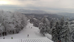 Lalíky vrcholová stanice