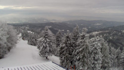 Lalíky vrcholová stanice