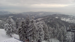 Lalíky vrcholová stanice