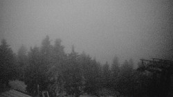 Lalíky vrcholová stanice