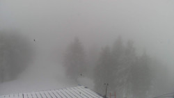 Lalíky vrcholová stanice