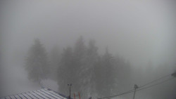 Lalíky vrcholová stanice