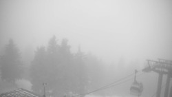 Lalíky vrcholová stanice