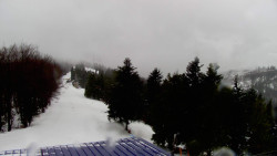 Lalíky vrcholová stanice