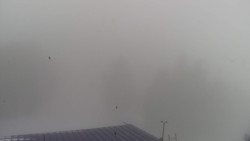 Lalíky vrcholová stanice