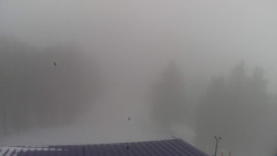 Lalíky vrcholová stanice